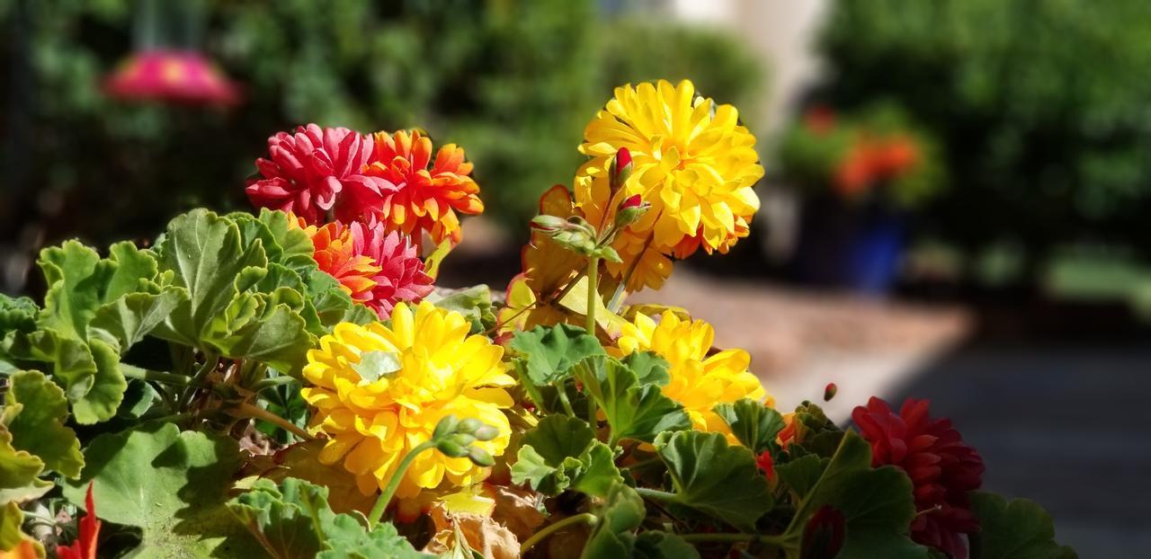 Adobe Hacienda Bed & Breakfast Sedona Luaran gambar